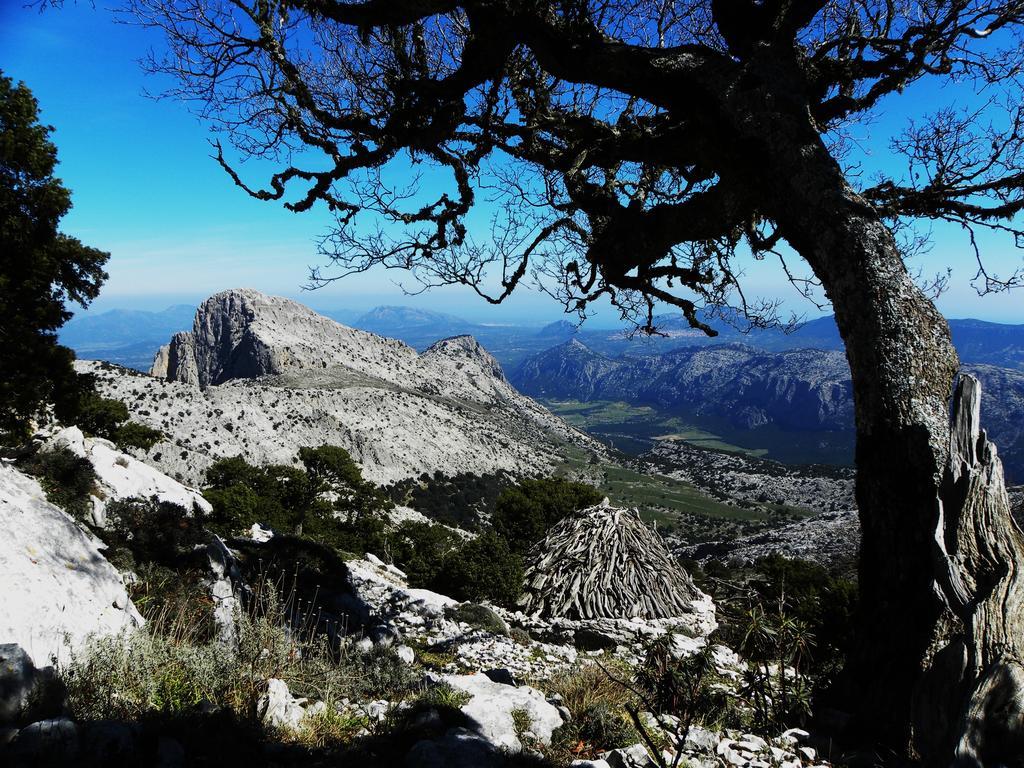 Su Cannonariu Orosei Exteriér fotografie